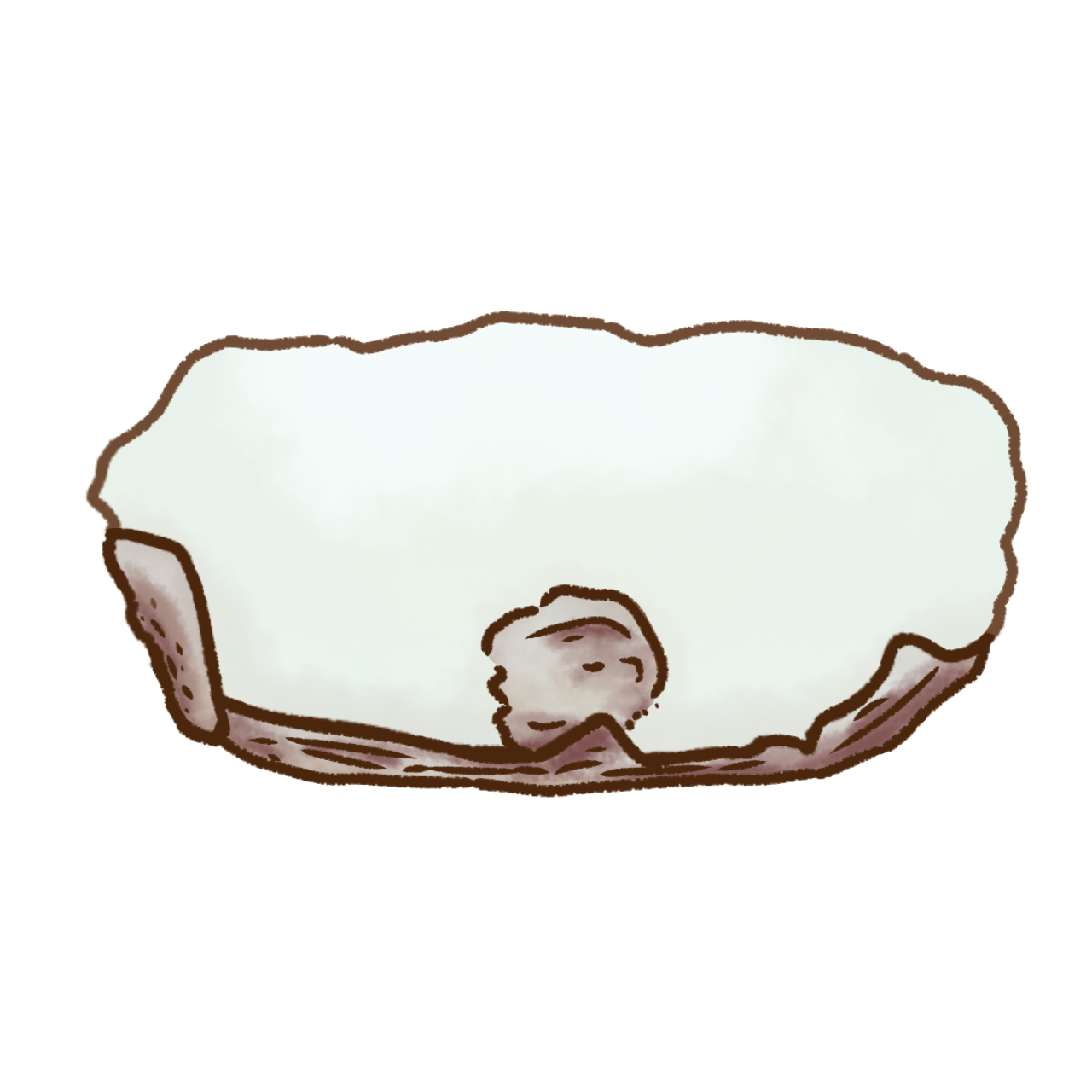Porcelain Shard